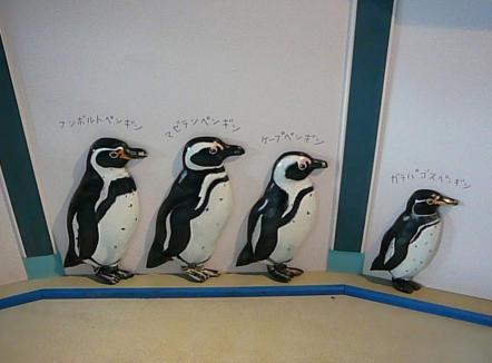 ペンギン５.jpg