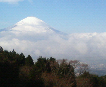 富士霊園5