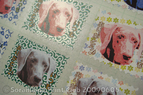 本当は、もっとアニメっぽいイラストにできたらよかったんですけどね… sDSC05308.jpg