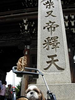 柴又観光～