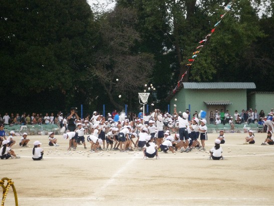 2009運動会1
