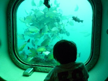 海中展望塔3