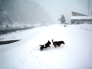 久々の雪だぁ～～♪