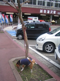 坊ちゃま用駅前トイレ