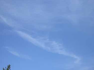 20080302橿原鳳凰雲.jpg