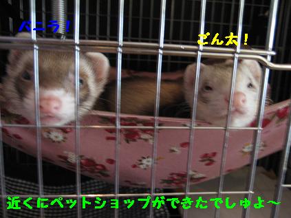 IMG_2123.JPG