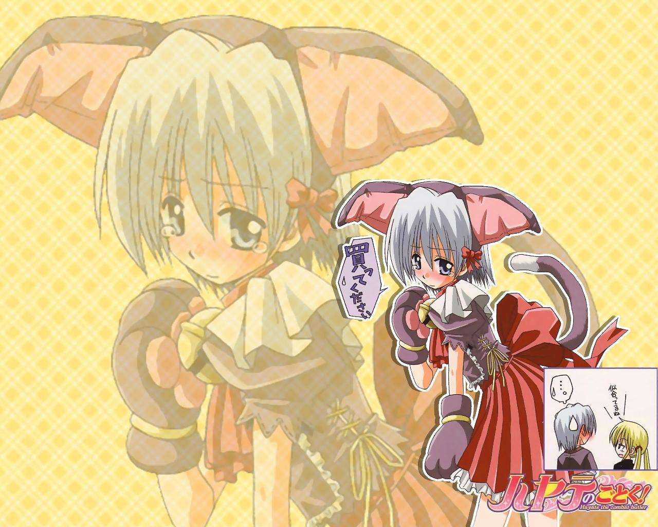 ネコミミハヤテ