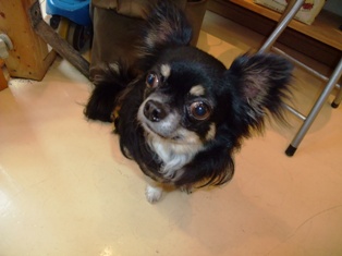 2008_0531オフ会0025.JPG