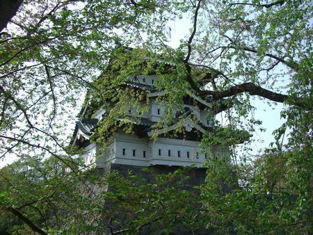 080504弘前さくらまつり