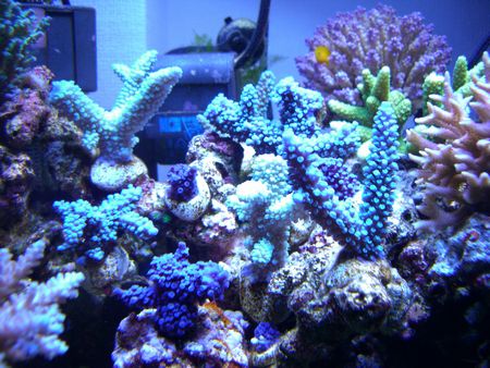 080420うなぎさん中心部