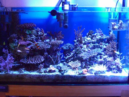 アクアブルーのみ