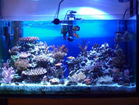 MT＆コバルトブルー