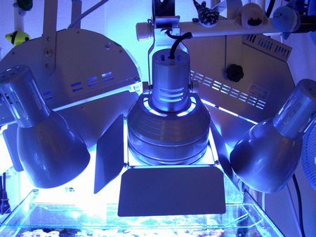 080420うなぎさん照明