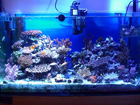 MT＆アクアブルー