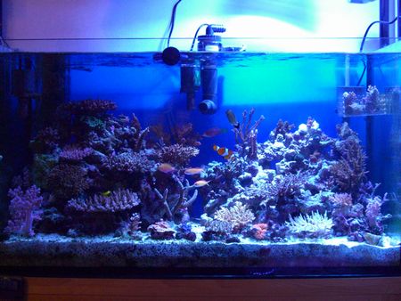 コバルトブルー＆アクアブルー