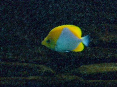 なんじゃこりゃー２