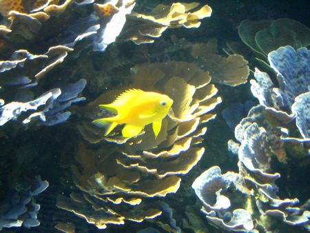 なんじゃこりゃー３