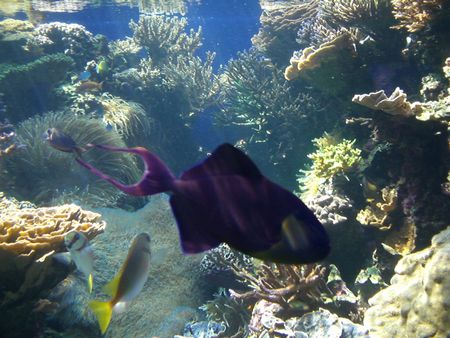 なんじゃこりゃー４