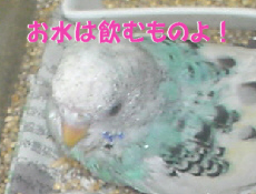2009/09/20(2)