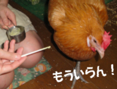2009/10/28(12)