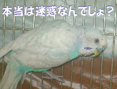 2009/06/12(5)
