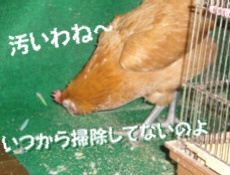 2009/10/31(3)