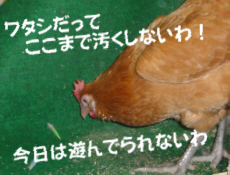 2009/10/31(4)