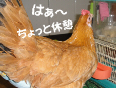 2009/10/31(5)