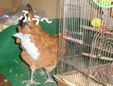 2009/10/31(8)