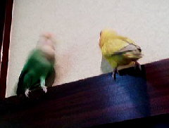 2010/09/23(6)
