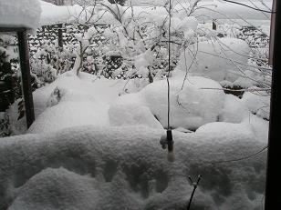 2011･1･27大雪・小.JPG