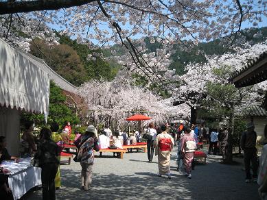 hanami5