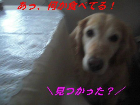 3月26日 008.jpg