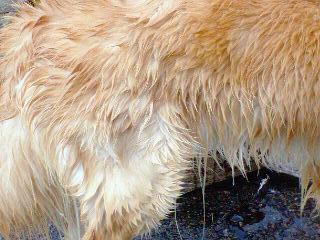 200905280820000 (2).JPG