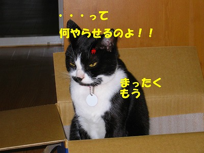 何やらせるのよ！