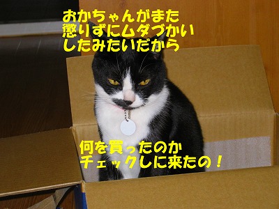 何を買ったのかチェックよ