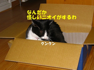 怪しいニオイが！！