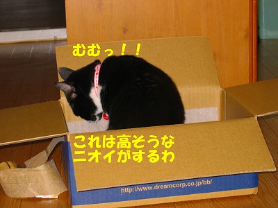 高そうなニオイね