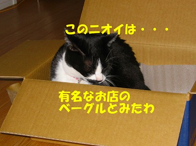 有名なお店のベーグルだわ