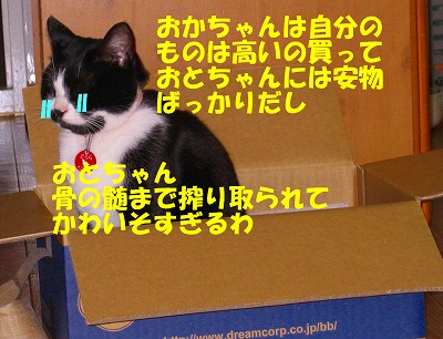 おとちゃん、かわいそ（泣）