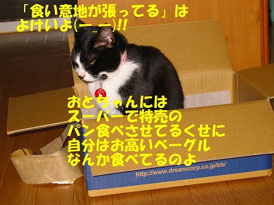 食い意地が張ってるは余計よ！