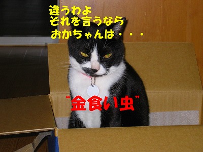 おかちゃんは金食い虫ね