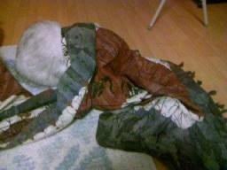 布で遊ぶタビー１