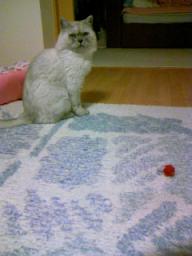 敵を目の前にして２