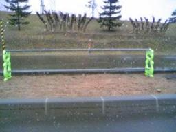 カエルちゃん２