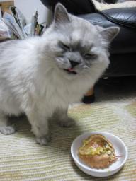 タビー誕生日６