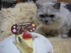 タビー誕生日７
