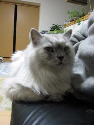 タビー誕生日１０