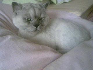 今日の寝場所0729