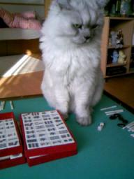 麻雀台の上で３